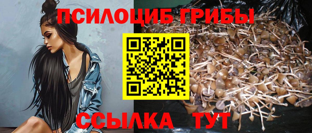 Меф  NBOMe  Кокаин  Вход с VPN  Cocaine  МЕФ   Героин  ЭКСТАЗИ  Новоалтайск  Конопля  ГАШ 